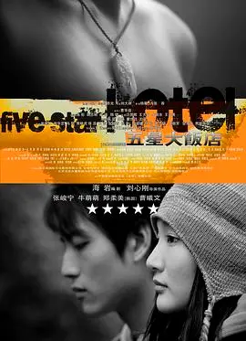 《五星大饭店》：青春的梦想与现实的碰撞，五星级的成长之旅