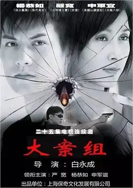 大案组 海报