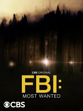 《联邦调查局：通缉要犯 第四季》：深入FBI追捕惊险瞬间，揭秘罪犯落网的幕后故事